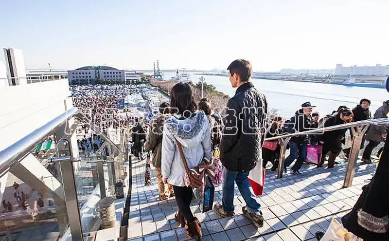 五一动画网页版